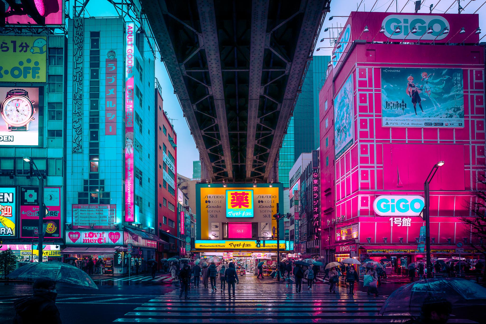 Akihabara night photography — neon overload under elevated tracks Tokyo