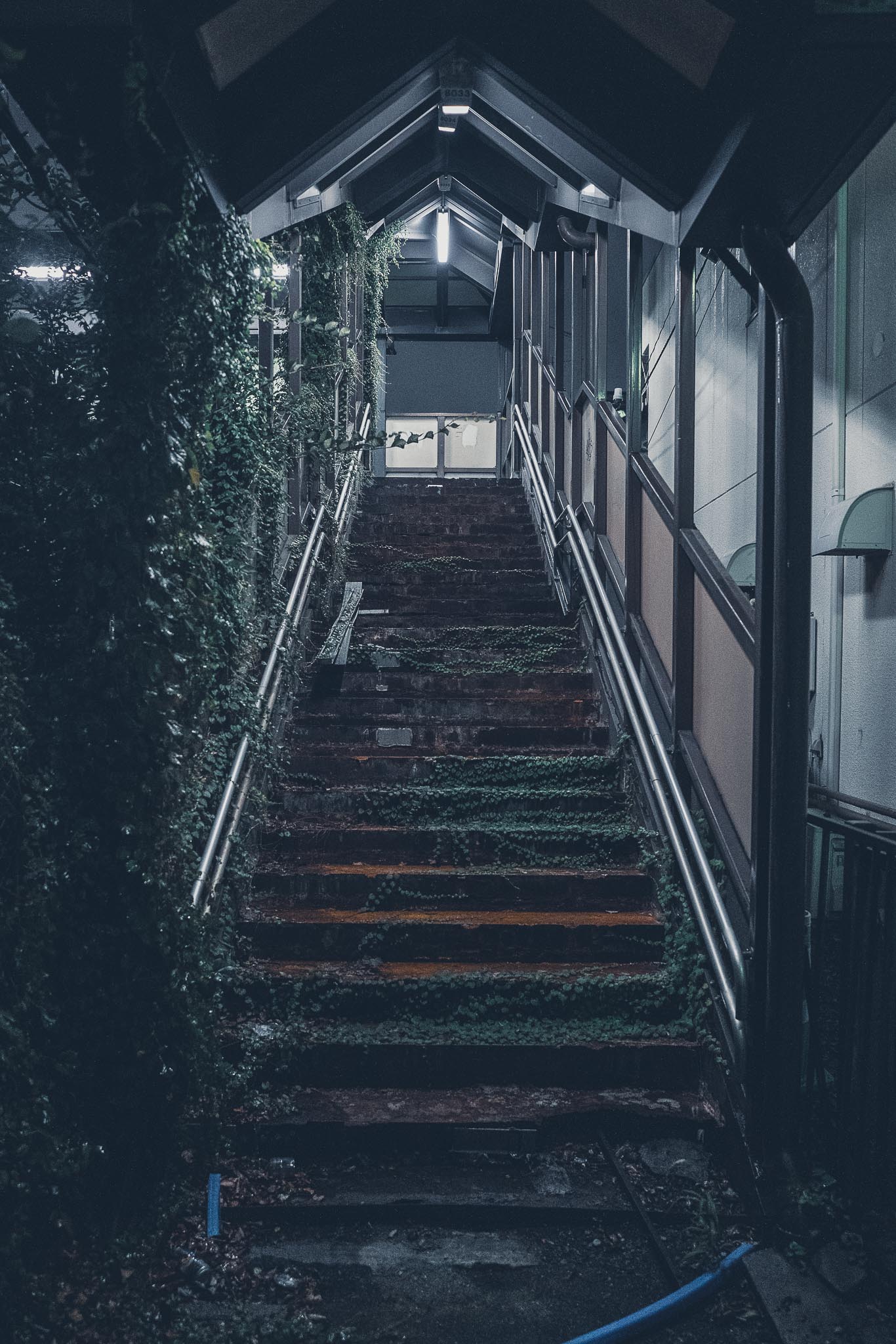 Bubaigawara Tokyo — ivy covered staircase at night, urban decay street photography