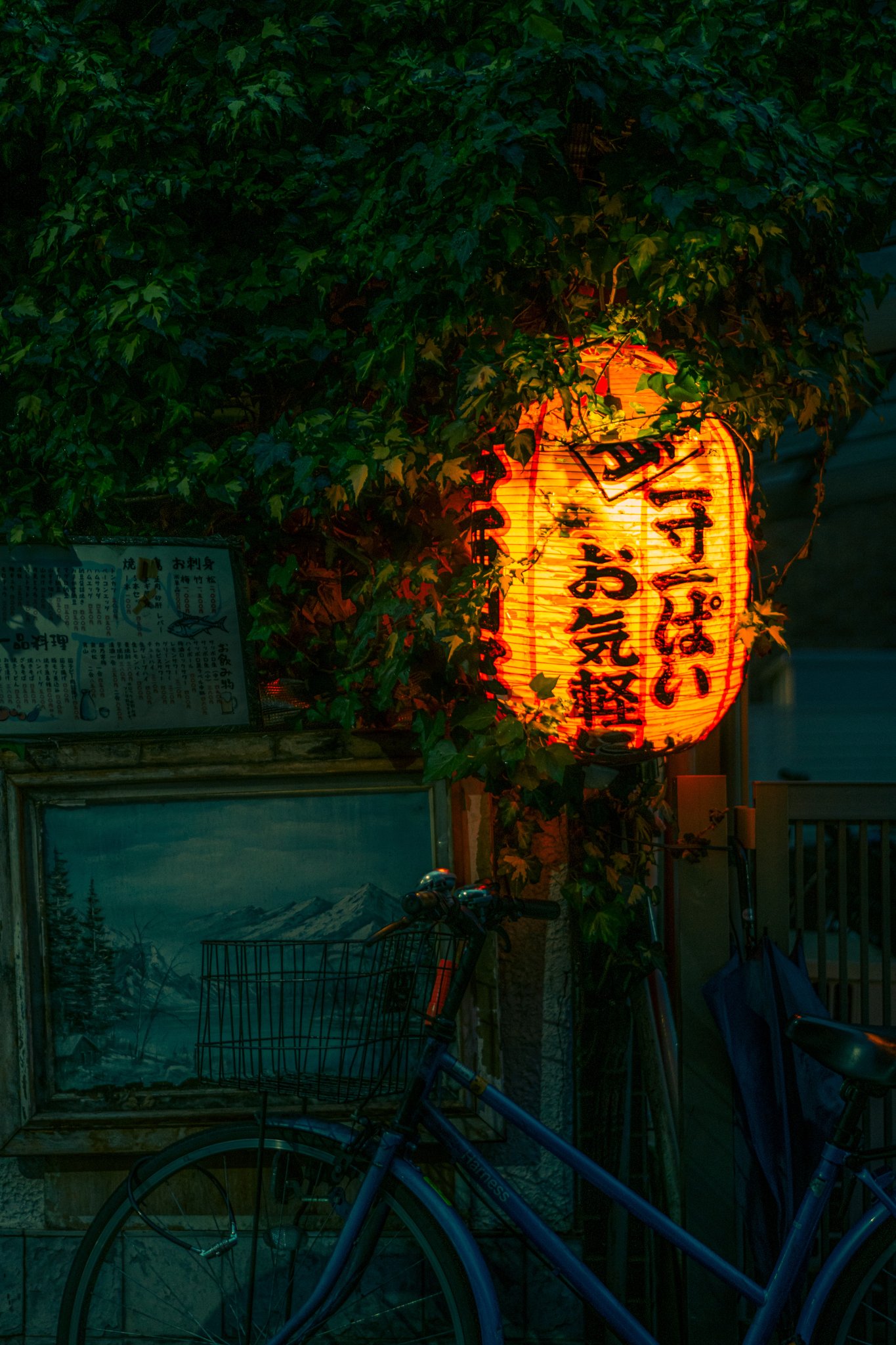 Tokyo night alley — lantern nostalgic moody street photography