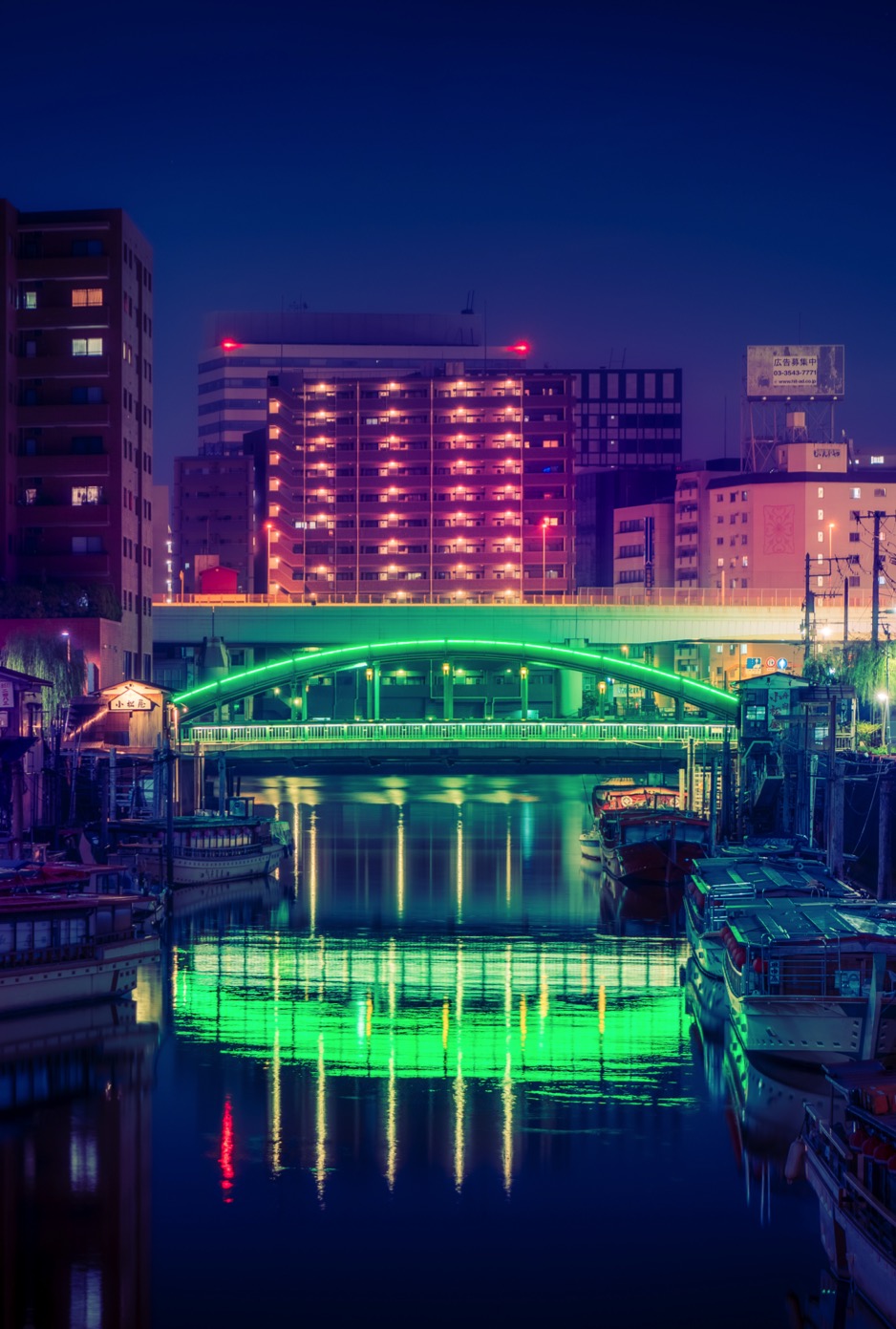 Tokyo blue hour bridge photography — night cityscape