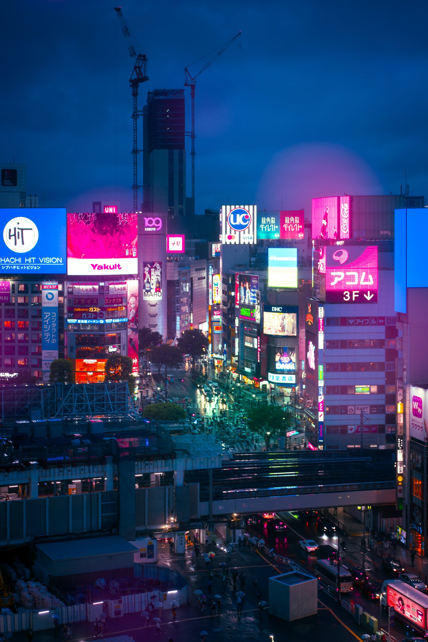 Tokyo street photography at night — Akihabara neon crowds