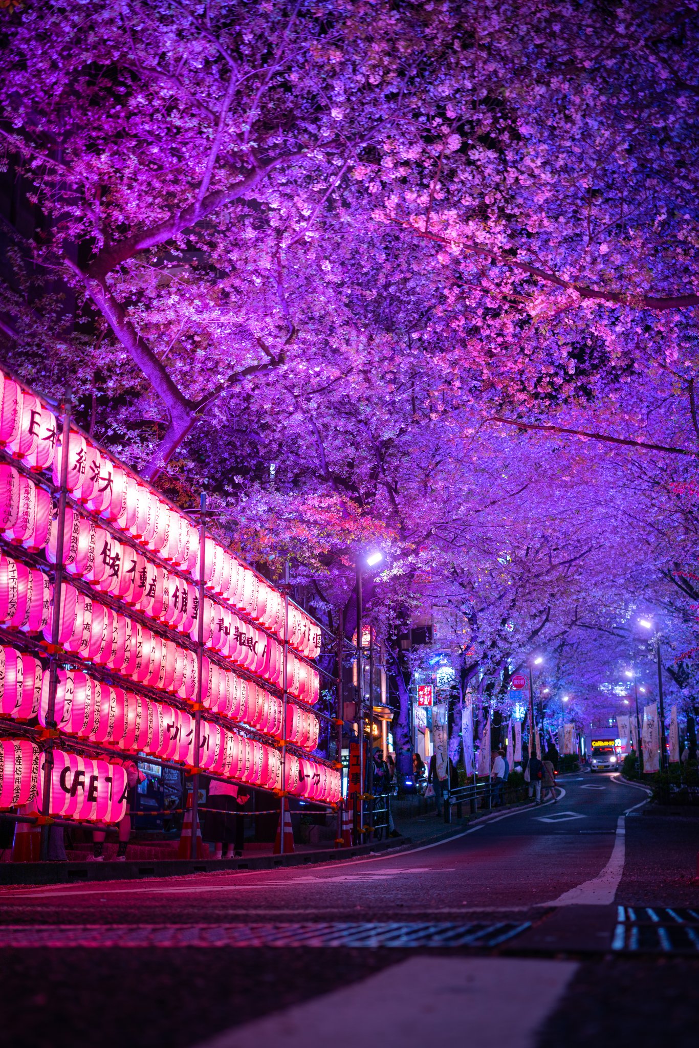 Tokyo neon photography — pink cyberpunk night street