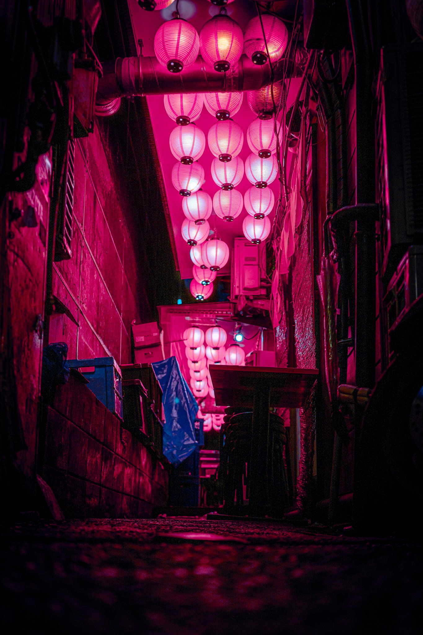 Shinjuku neon alley at night — pink lantern neon mix street photography