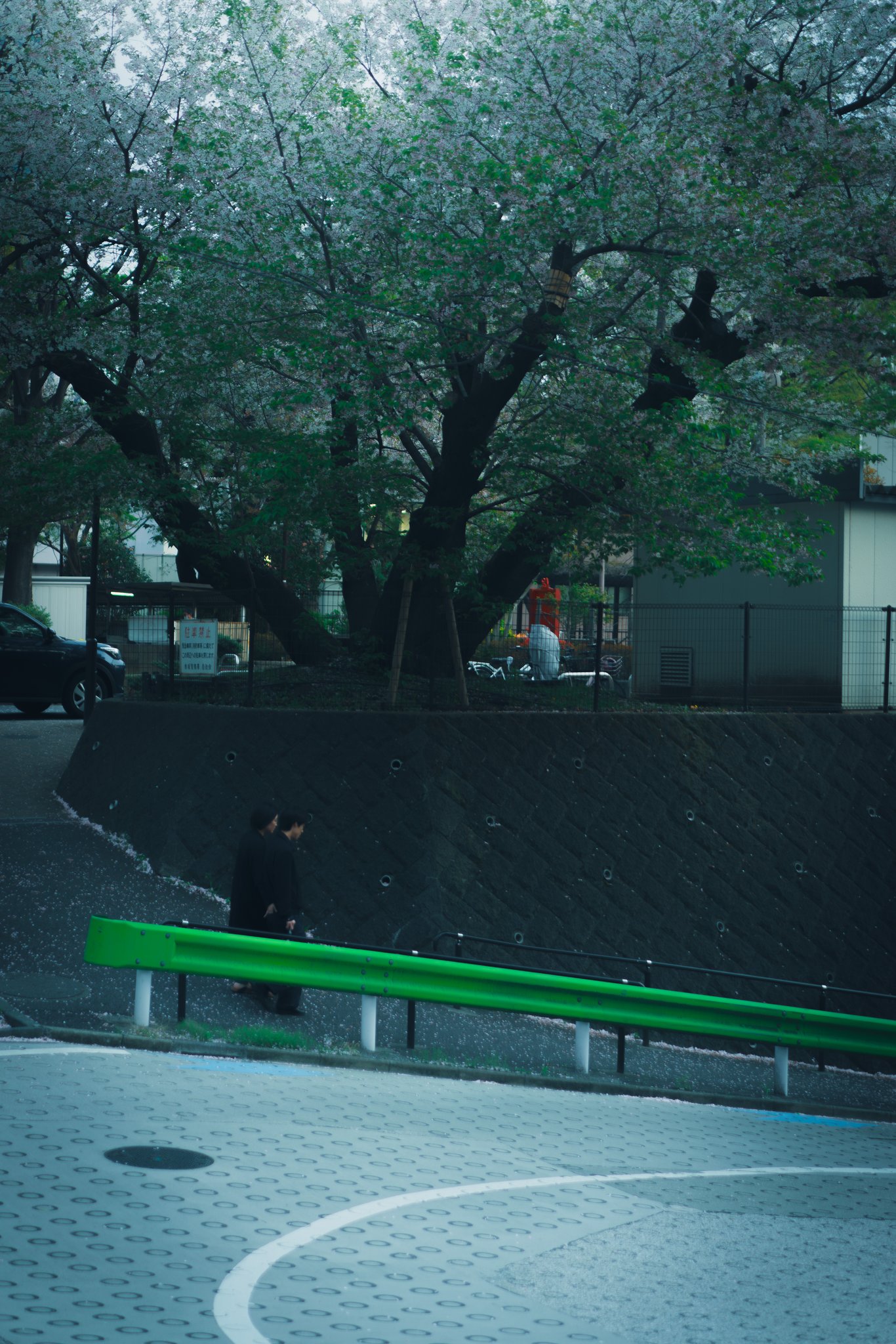 Tokyo dawn alley — quiet peaceful minimal street photography