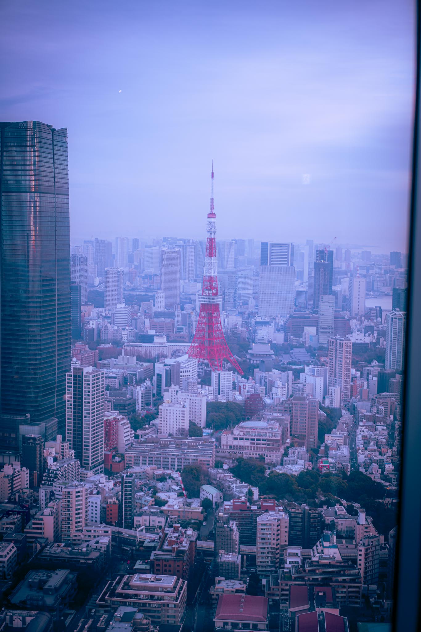 Tokyo Tower at dusk seen from Mori Tower — misty pink and purple sky